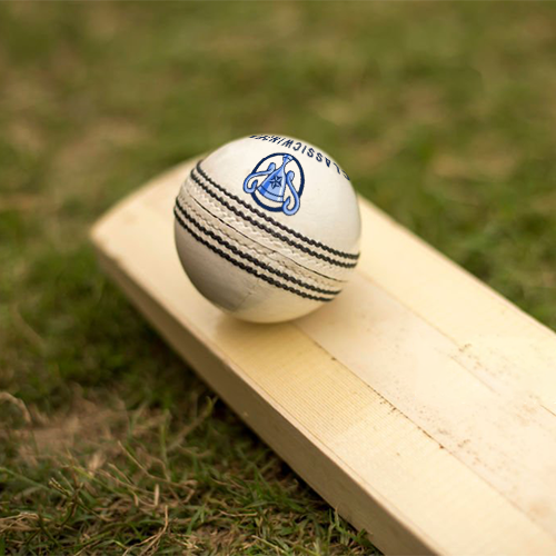 Best cricket ball